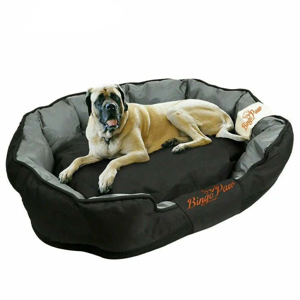 Large dog relaxing in raised-edge orthopedic bed, living room setting