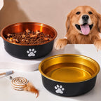 Golden Retriever eating from elevated double-bowl feeder
