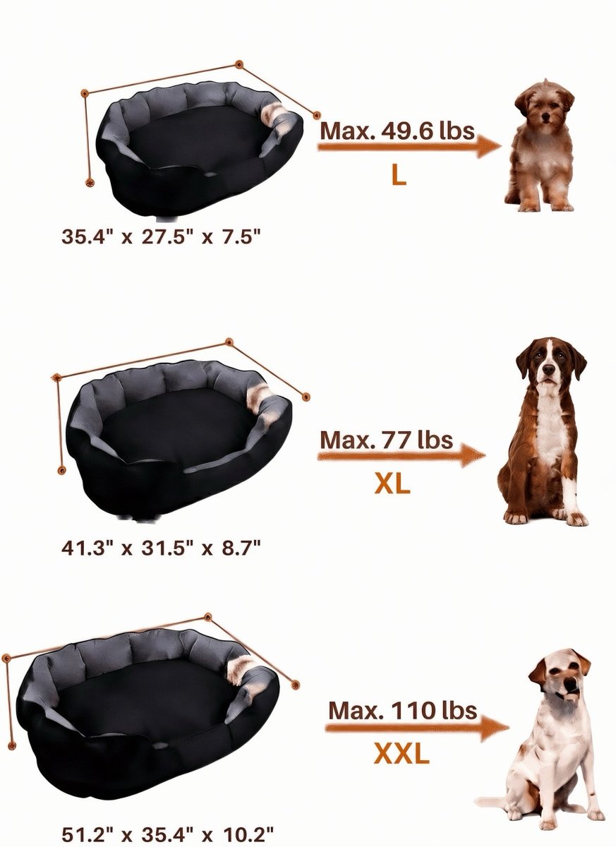 Size guide for BingoPaw sofa dog bed L, XL and XXL with maximum dog weights