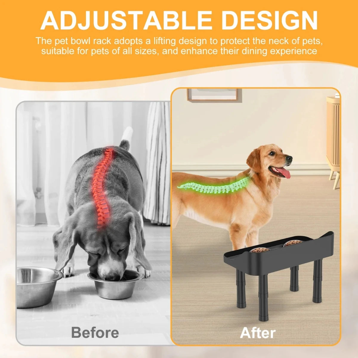 Premium Raised Dog Bowls Stand with Splash Guard and Silicone Pad