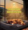 Large dog lying on a gray orthopedic dog bed in a bright room with sunlight coming through the window