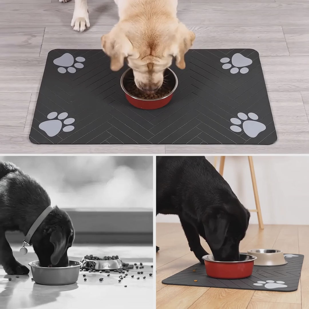 Short video of the absorbent dog feeding mat in use